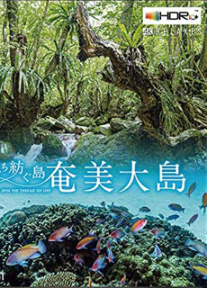 世界自然遗产：奄美大岛